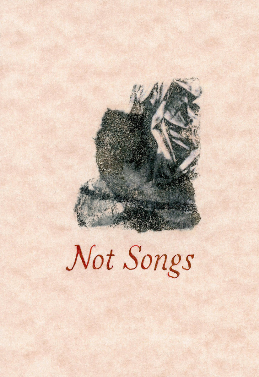 not songs-shaun-hall